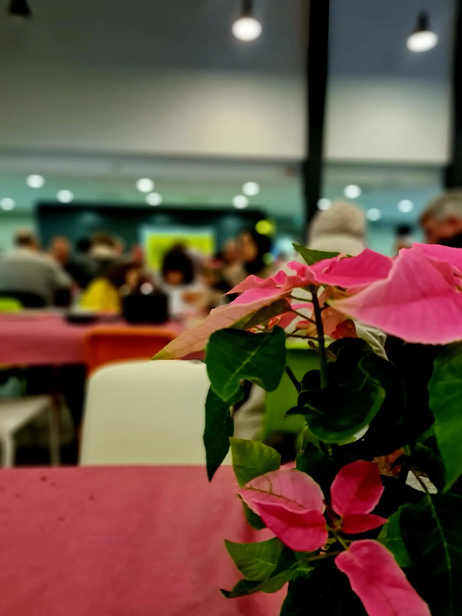 news-warmste-week-en-dag-van-de-2